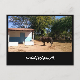 Nicaragua Briefkaart