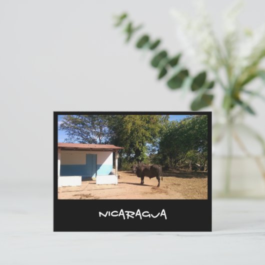 Nicaragua Briefkaart (Staand voorkant)