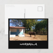 Nicaragua Briefkaart (Voorkant / Achterkant)