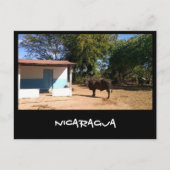 Nicaragua Briefkaart (Voorkant)