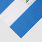 Nicaragua Flag Tissuepapier (Detail)
