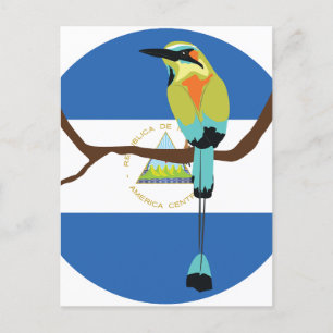 Nicaragua Turquoise-browsing motto Torogoz Briefkaart