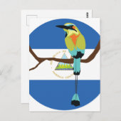 Nicaragua Turquoise-browsing motto Torogoz Briefkaart (Voorkant / Achterkant)