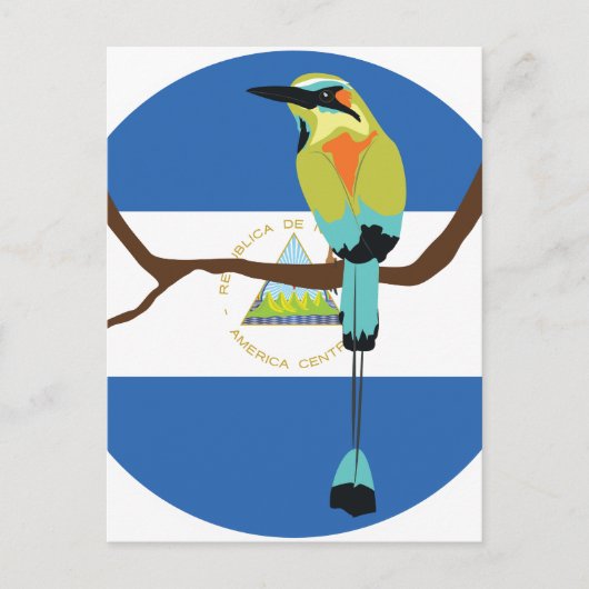 Nicaragua Turquoise-browsing motto Torogoz Briefkaart (Voorkant)