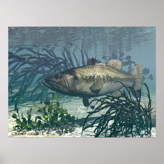 Nice Catch Poster (Voorkant)