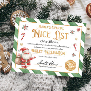 Nice Certificaat Goedgekeurd Sinterklaas Poster