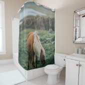 NICE HORSE DOUCHEGORDIJN (In situ)