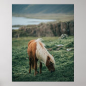 NICE HORSE POSTER (Voorkant)