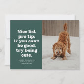 Nice list funny cute green pet photo Christmas Feestdagenkaart (Voorkant)