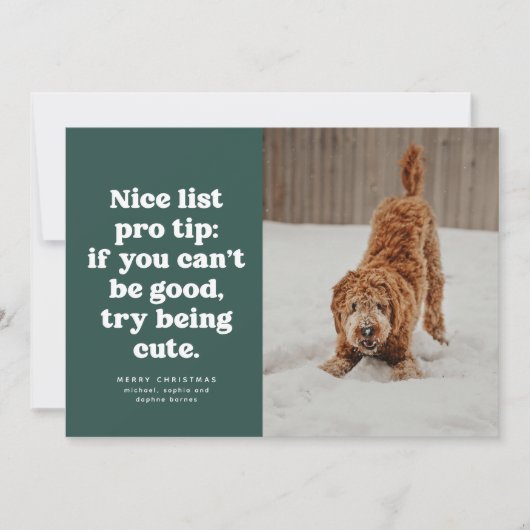 Nice list funny cute green pet photo Christmas Feestdagenkaart (Voorkant)