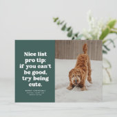Nice list funny cute green pet photo Christmas Feestdagenkaart (Staand voorkant)