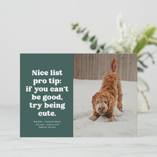 Nice list funny cute green pet photo Christmas Feestdagenkaart (Staand voorkant)