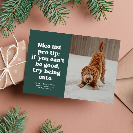 Nice list funny cute green pet photo Christmas Feestdagenkaart