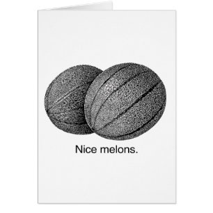 NICE MELONS -.png