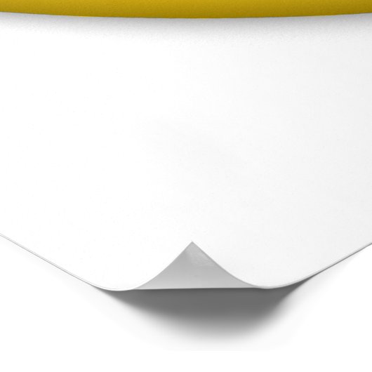 Nice Motocross Seal 1 Poster (Hoek)