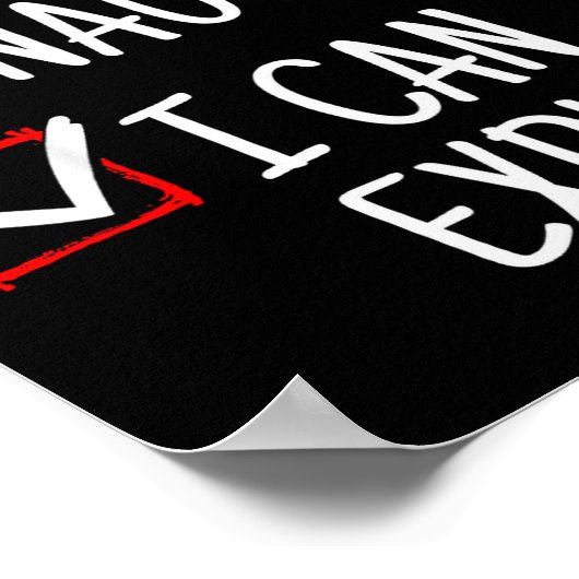 Nice Naughty I Can Explain Funny Christmas  Poster (Hoek)