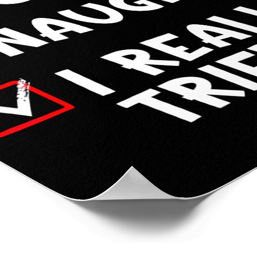 Nice Naughty I Really Tried Funny Christmas List Poster (Hoek)