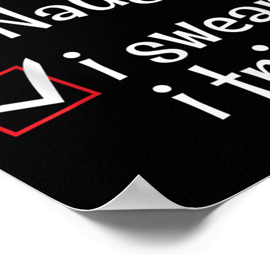 Nice Naughty I Swear I Tried Funny Santa Christmas Poster (Hoek)