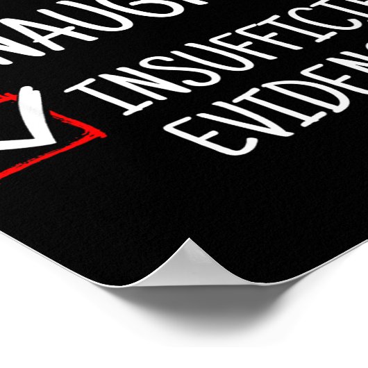 Nice Naughty Insufficient Evidence Funny Christmas Poster (Hoek)