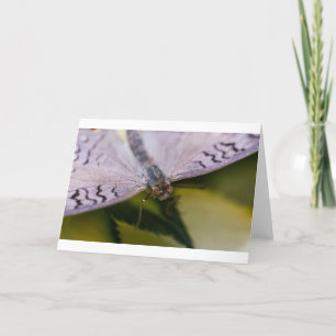 Nice om u te ontmoeten kaart