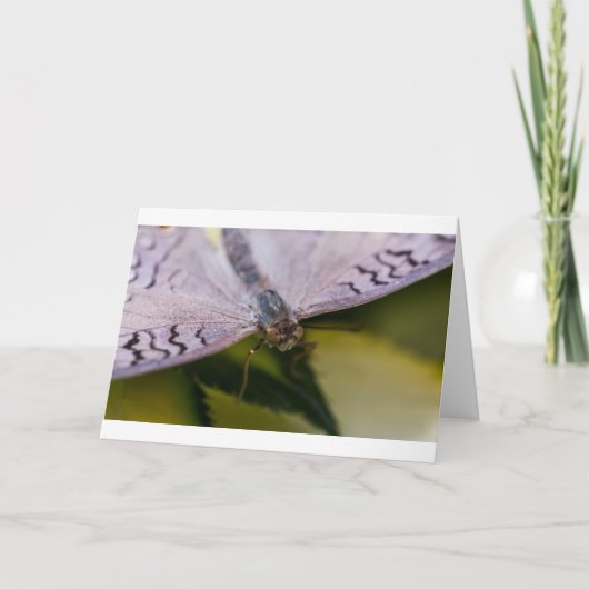 Nice om u te ontmoeten kaart (Voorkant)