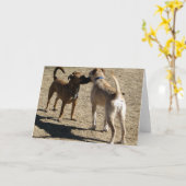 Nice om u te ontmoeten! kaart (Gele Bloem)