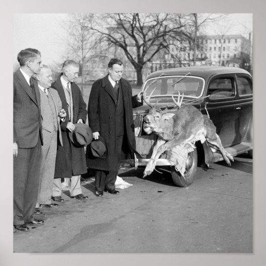 Nice Rack, 1938 Poster (Voorkant)