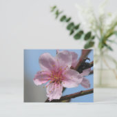 Nice Raspberry Bloom Briefkaart (Staand voorkant)