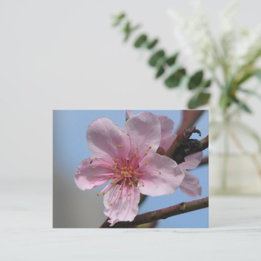 Nice Raspberry Bloom Briefkaart (Staand voorkant)