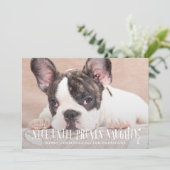 Nice tot bewezen Naughty Funny Pet Feestdagenkaart (Staand voorkant)