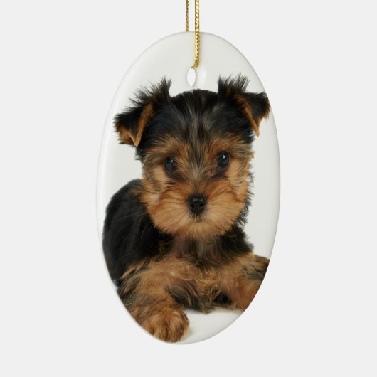 Nice yorkie keramisch ornament (Rechts)