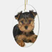 Nice yorkie keramisch ornament (Links)