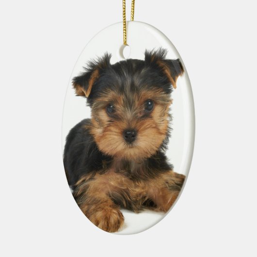 Nice yorkie keramisch ornament (Links)