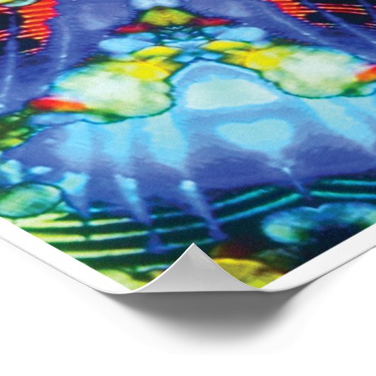 Niche Kinetic Collage Kaleidoscope Poster (Hoek)