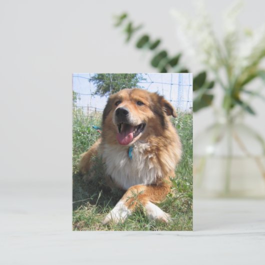 Nicholas Briefkaart (Staand voorkant)