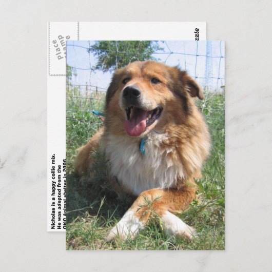 Nicholas Briefkaart (Voorkant / Achterkant)