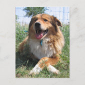 Nicholas Briefkaart (Voorkant)