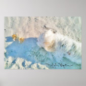 Nicholas & Friend Poster (Voorkant)