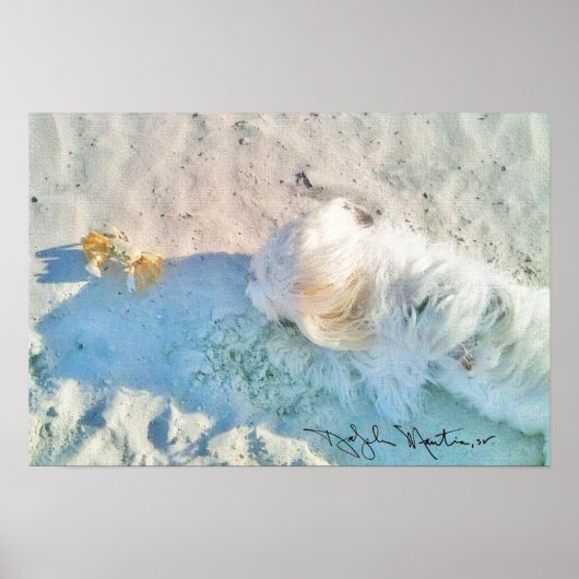 Nicholas & Friend Poster (Voorkant)