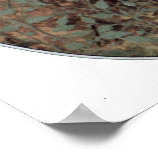 Nicholas Hilliard - Young man bij de rozen Poster (Hoek)