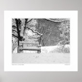 Nichols Arboretum #1 Poster (Voorkant)