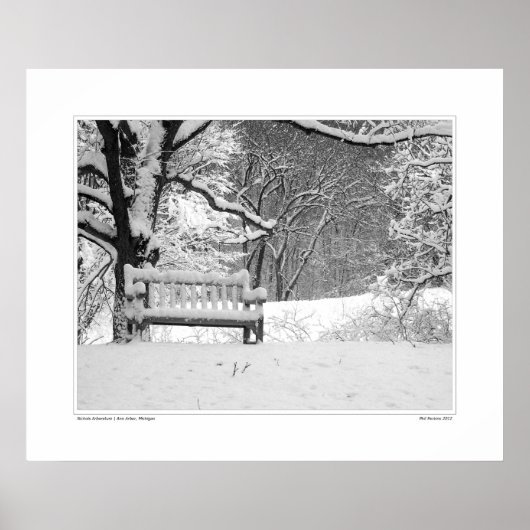 Nichols Arboretum #1 Poster (Voorkant)