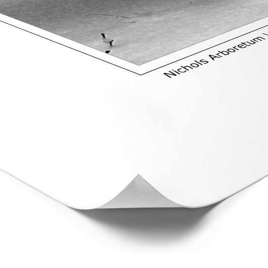 Nichols Arboretum #3 Poster (Hoek)