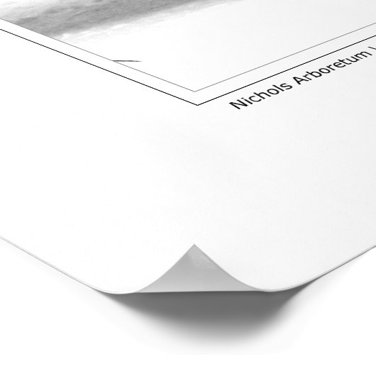 Nichols Arboretum #4 Poster (Hoek)