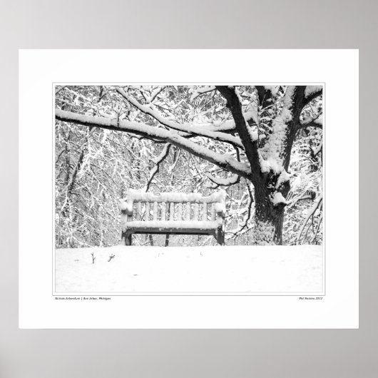 Nichols Arboretum #5 Poster (Voorkant)