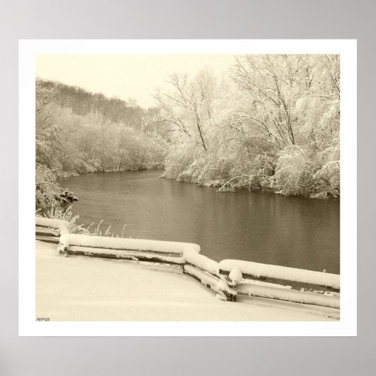 Nichols Arboretum Poster (Voorkant)