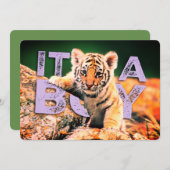 NiCK DAViD baby - Tiger Shower-uitnodiging Kaart (Voorkant / Achterkant)