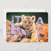 NiCK DAViD baby - Tiger Shower-uitnodiging Kaart (Voorkant)