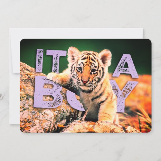 NiCK DAViD baby - Tiger Shower-uitnodiging Kaart (Voorkant)