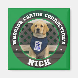 Nick magnet